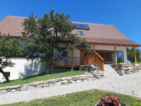 Rooms & Wine Lilek, Selnica ob Muri